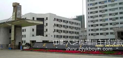 湖北大学.jpg